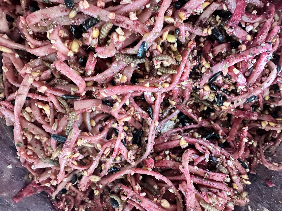 Chick-Etti enrichment pasta with herbs and seeds