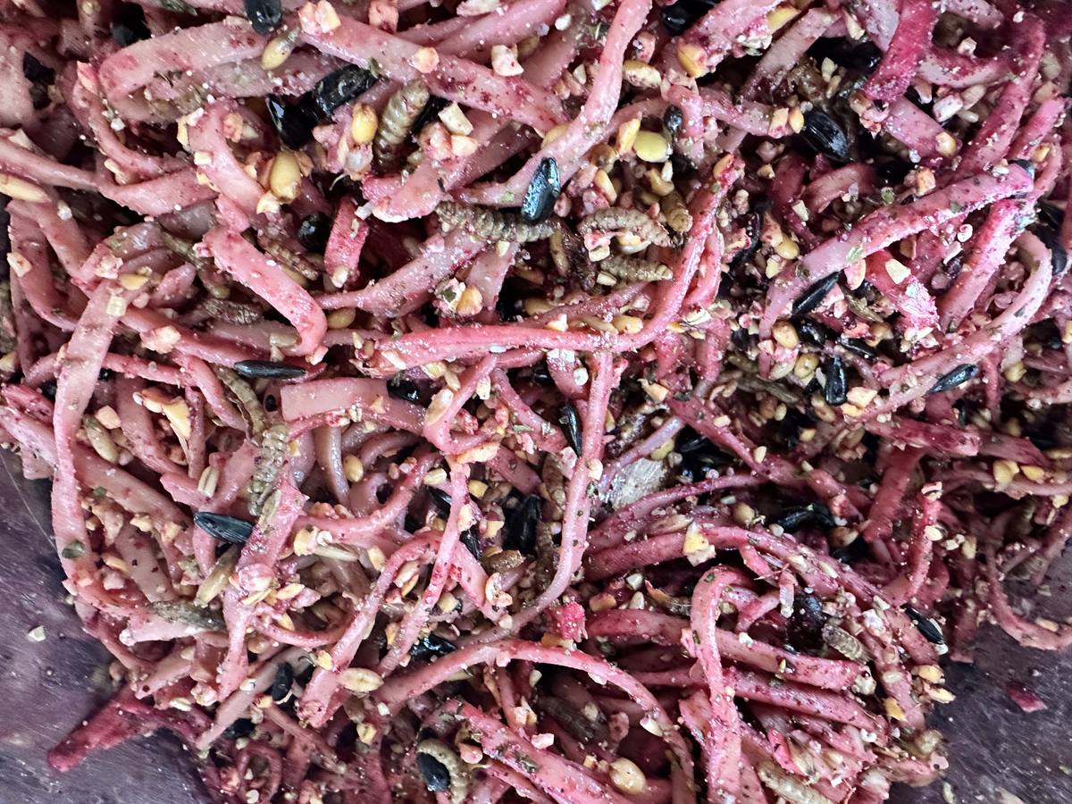 Chick-Etti Garden Blend